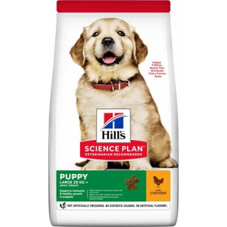 Hill's Science Plan Healthy Development Puppy Large 2.5kg Dry Food for Large Breed Puppies with Chicken Hill's Science Plan Healthy Development Puppy Large 2.5kg Dry Food for Large Breed Puppies with Chicken